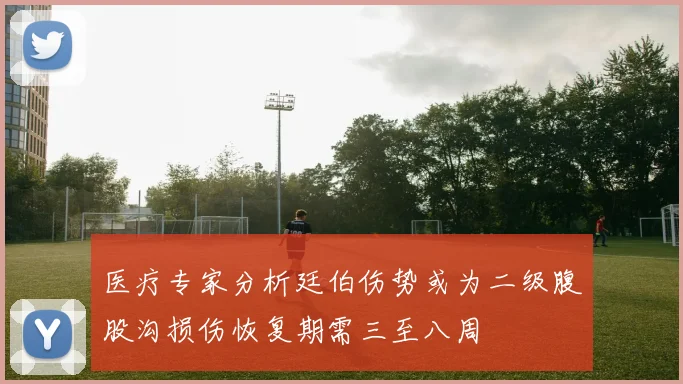 医疗专家分析廷伯伤势或为二级腹股沟损伤恢复期需三至八周