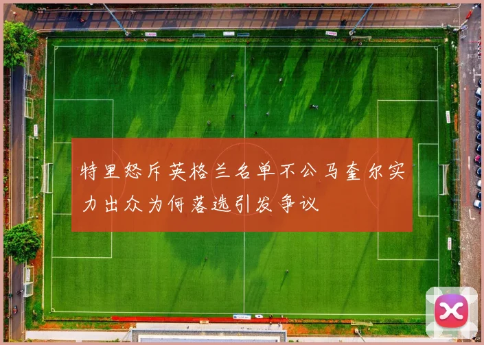 特里怒斥英格兰名单不公马奎尔实力出众为何落选引发争议